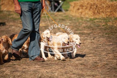 herefordshire_countryside_fair_lowRes-29